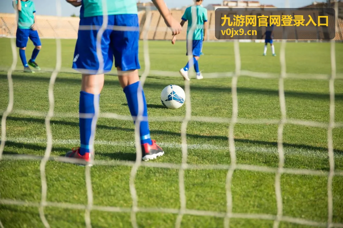 九游网官网登录入口密码输入注意事项