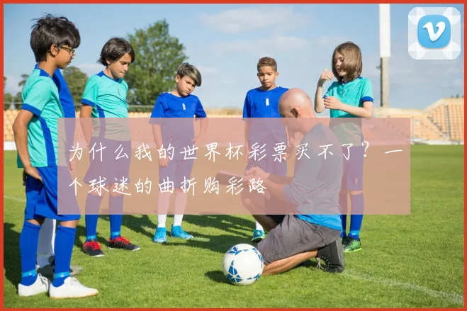为什么我的世界杯彩票买不了？一个球迷的曲折购彩路