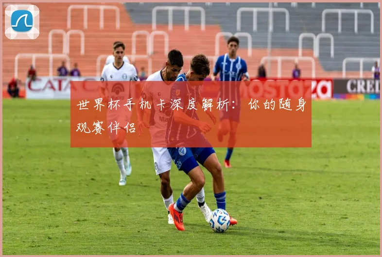世界杯手机卡深度解析：你的随身观赛伴侣