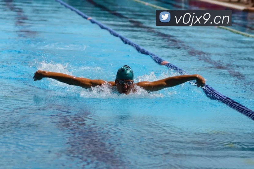 leyu乐鱼官方在线登录APP 封面图